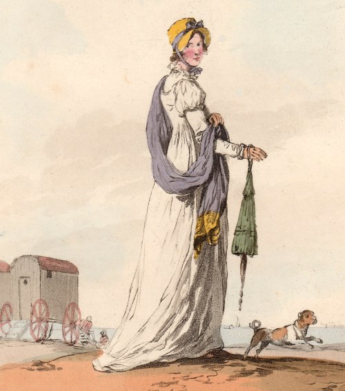 parasol dog bathing machines